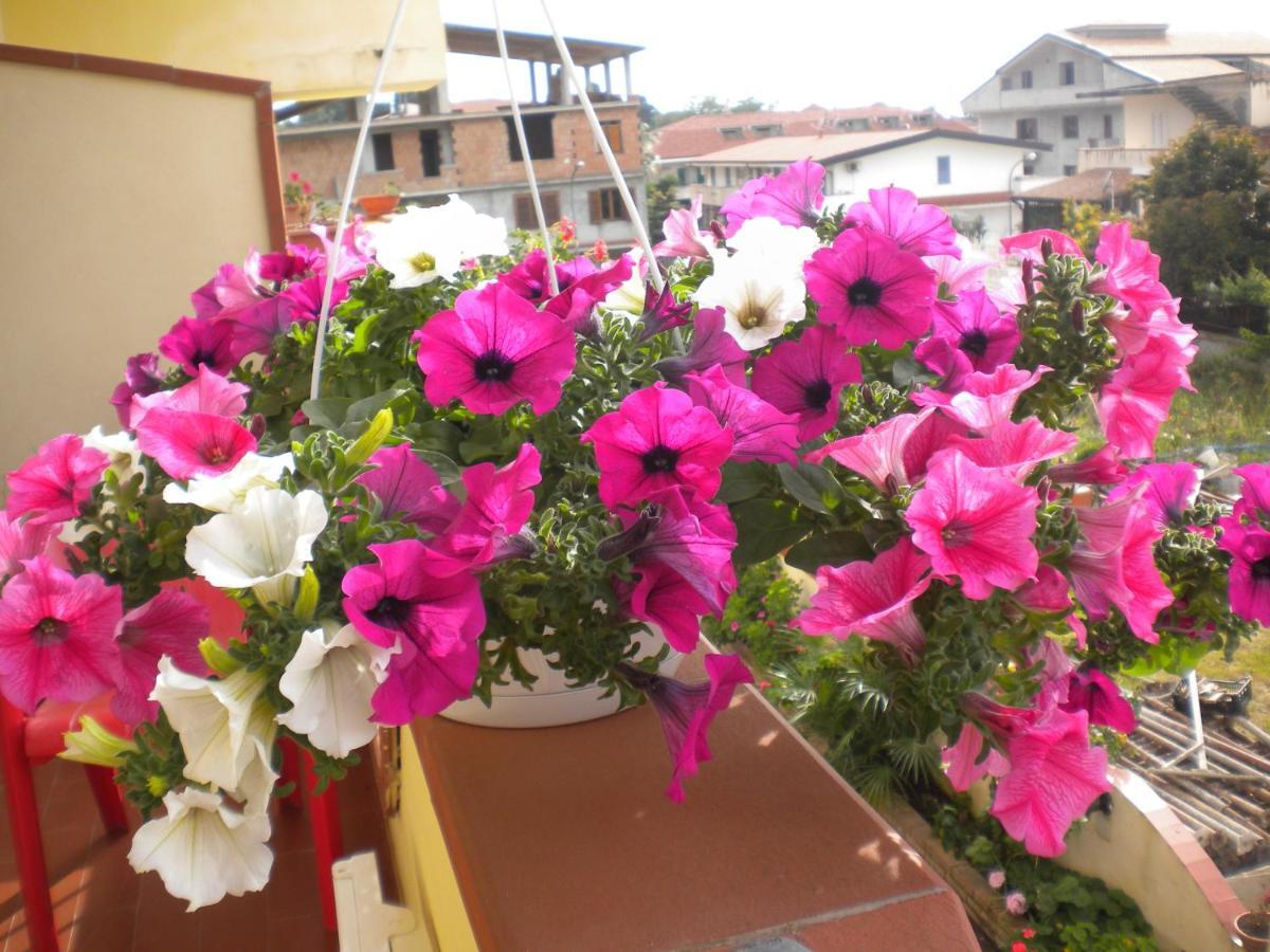 B&B Del Sole Tropea Riaci Exteriör bild